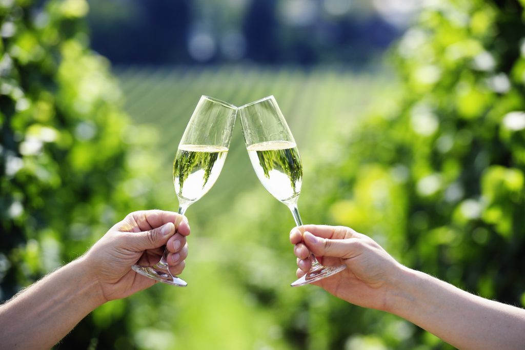 wine tasting retreats in Hampshire