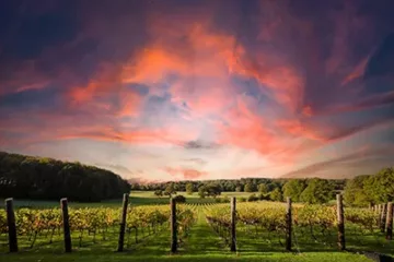 Quob Retreat Carousel_0005_RedSky - Harvest 2021-19 WEB