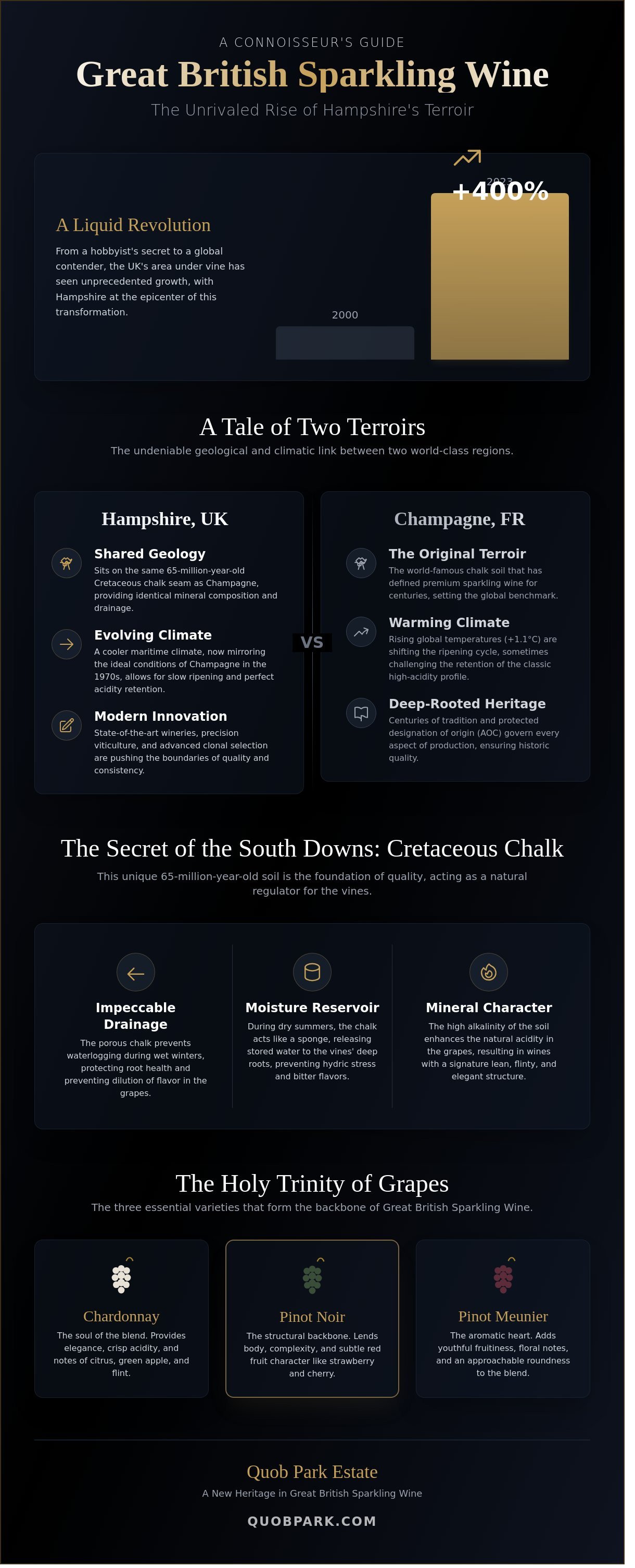 The Definitive Guide to English Sparkling Wine in Hampshire: Terroir, Tradition, and Taste